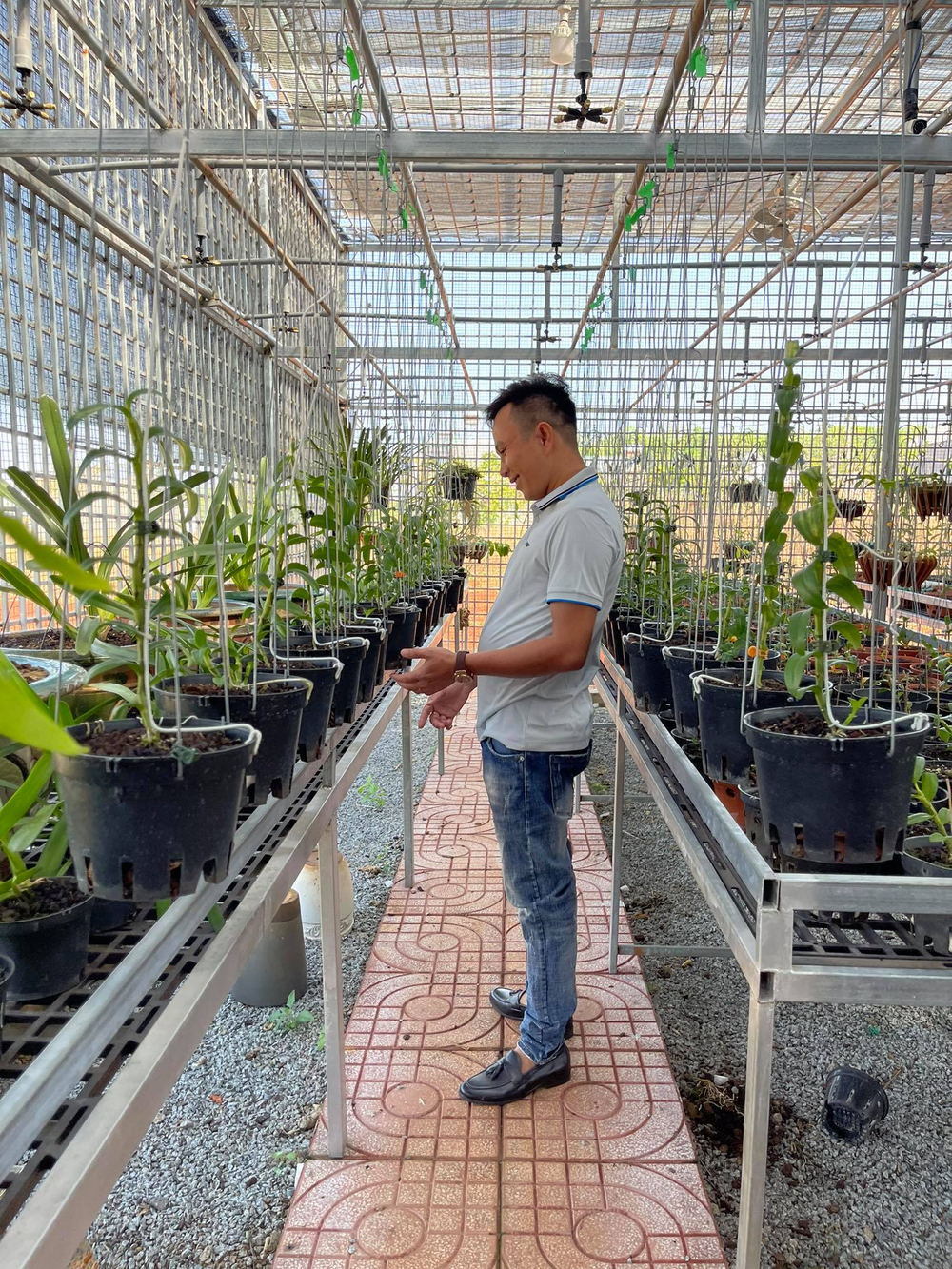 Ông chủ vườn lan Hạo Hạo và câu chuyện khởi nghiệp từ lan đột biến Ảnh 5