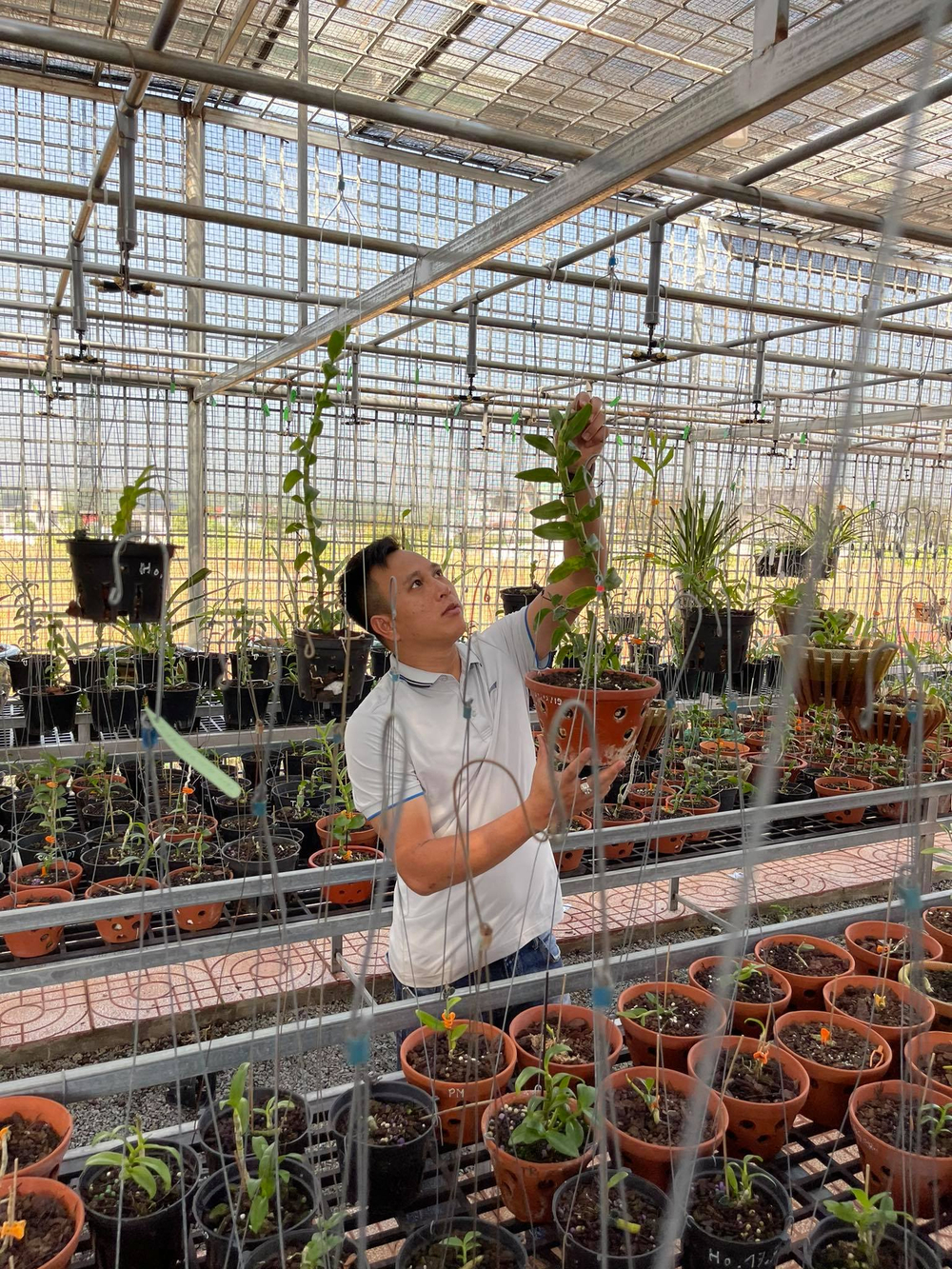 Ông chủ vườn lan Hạo Hạo và câu chuyện khởi nghiệp từ lan đột biến Ảnh 3