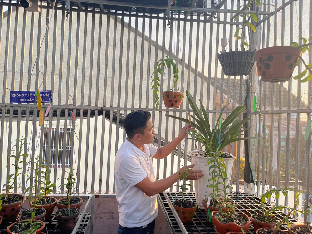 Ông chủ vườn lan Diệp Minh Tuyền: 'Tay ngang' lại thành công sớm Ảnh 8