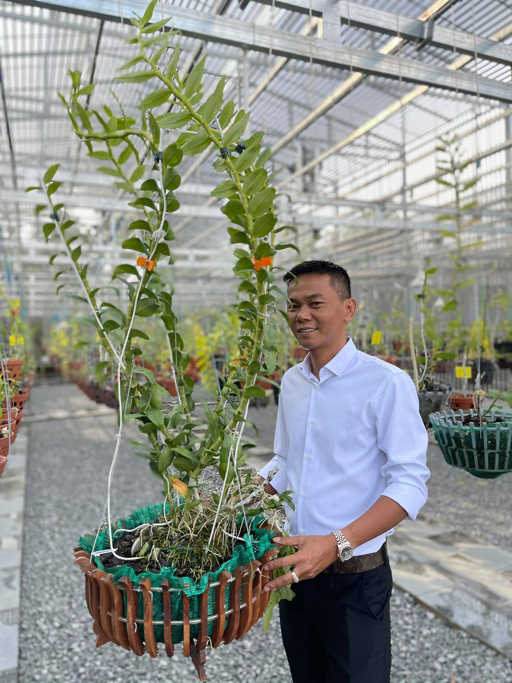 Vinh Phạm: Chàng trai gốc Bình Định và thú vui với hoa phong lan Ảnh 2
