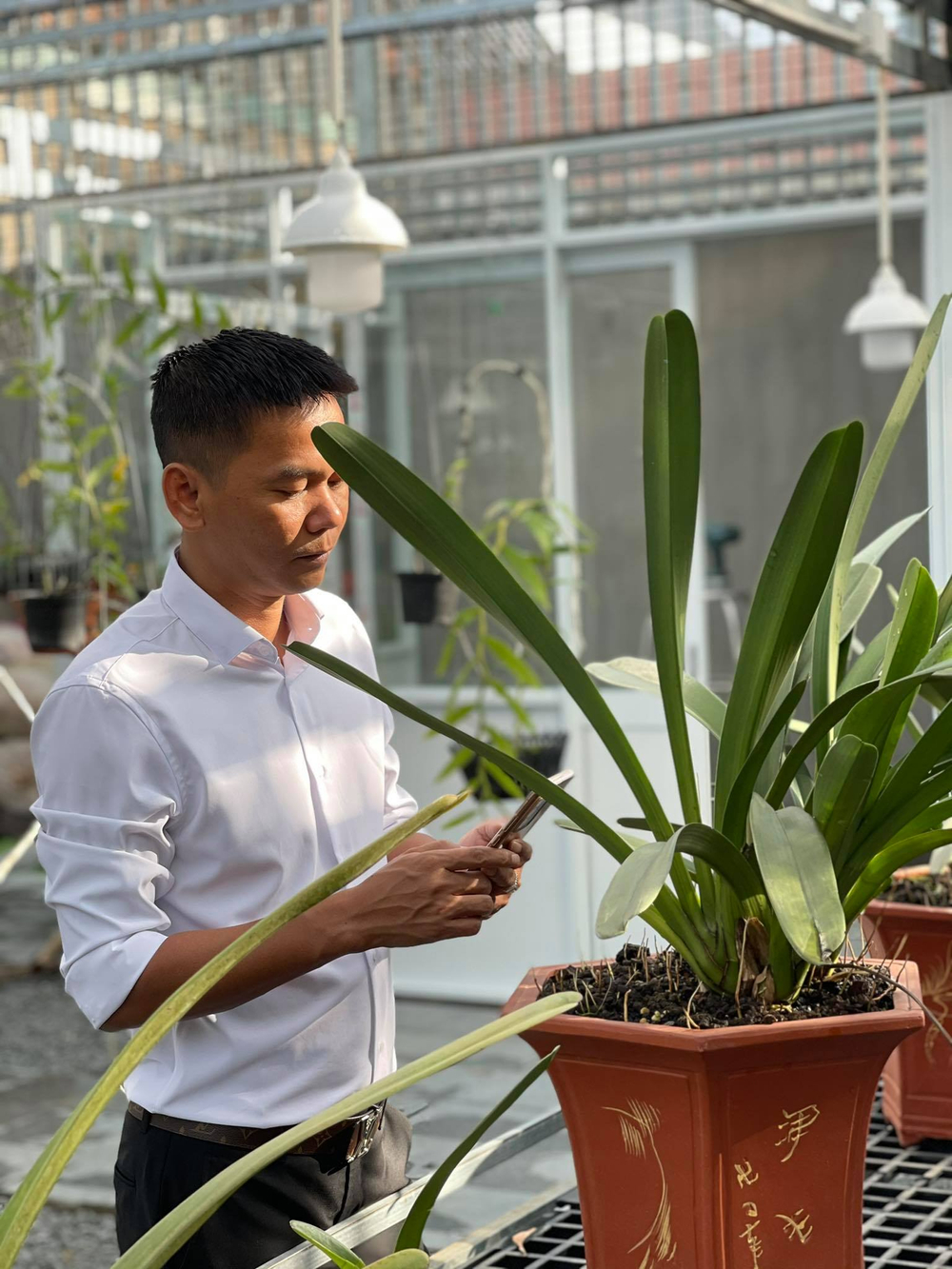 Vinh Phạm: Chàng trai gốc Bình Định và thú vui với hoa phong lan Ảnh 6