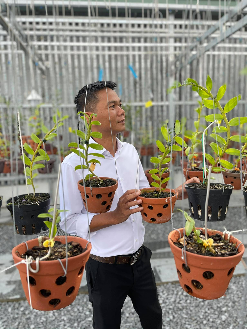 Vinh Phạm: Chàng trai gốc Bình Định và thú vui với hoa phong lan Ảnh 1