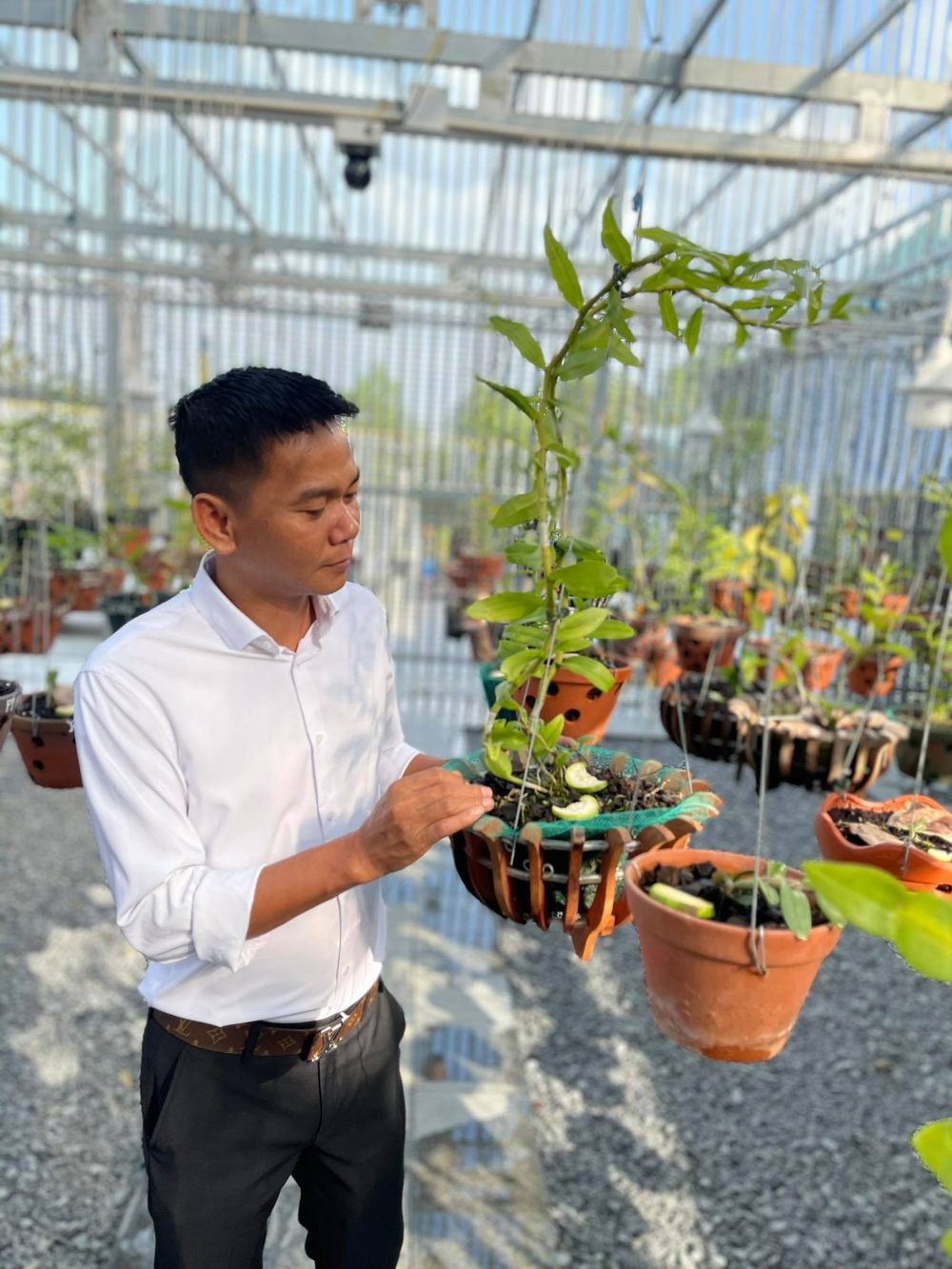 Vinh Phạm: Chàng trai gốc Bình Định và thú vui với hoa phong lan Ảnh 3
