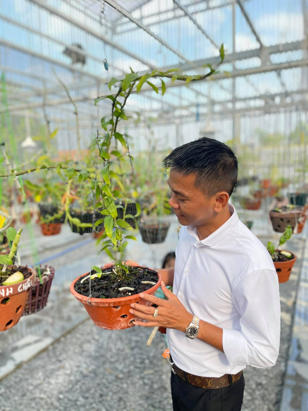 Vinh Phạm: Chàng trai gốc Bình Định và thú vui với hoa phong lan Ảnh 4