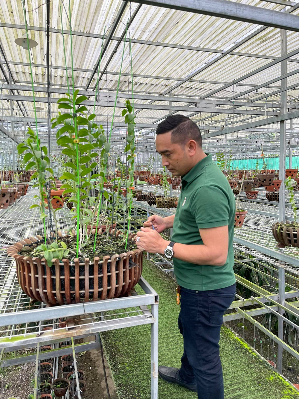 Chặng đường trở thành ông chủ vườn lan nổi tiếng của chàng trai 8X Nguyễn Tiến Huy Ảnh 4