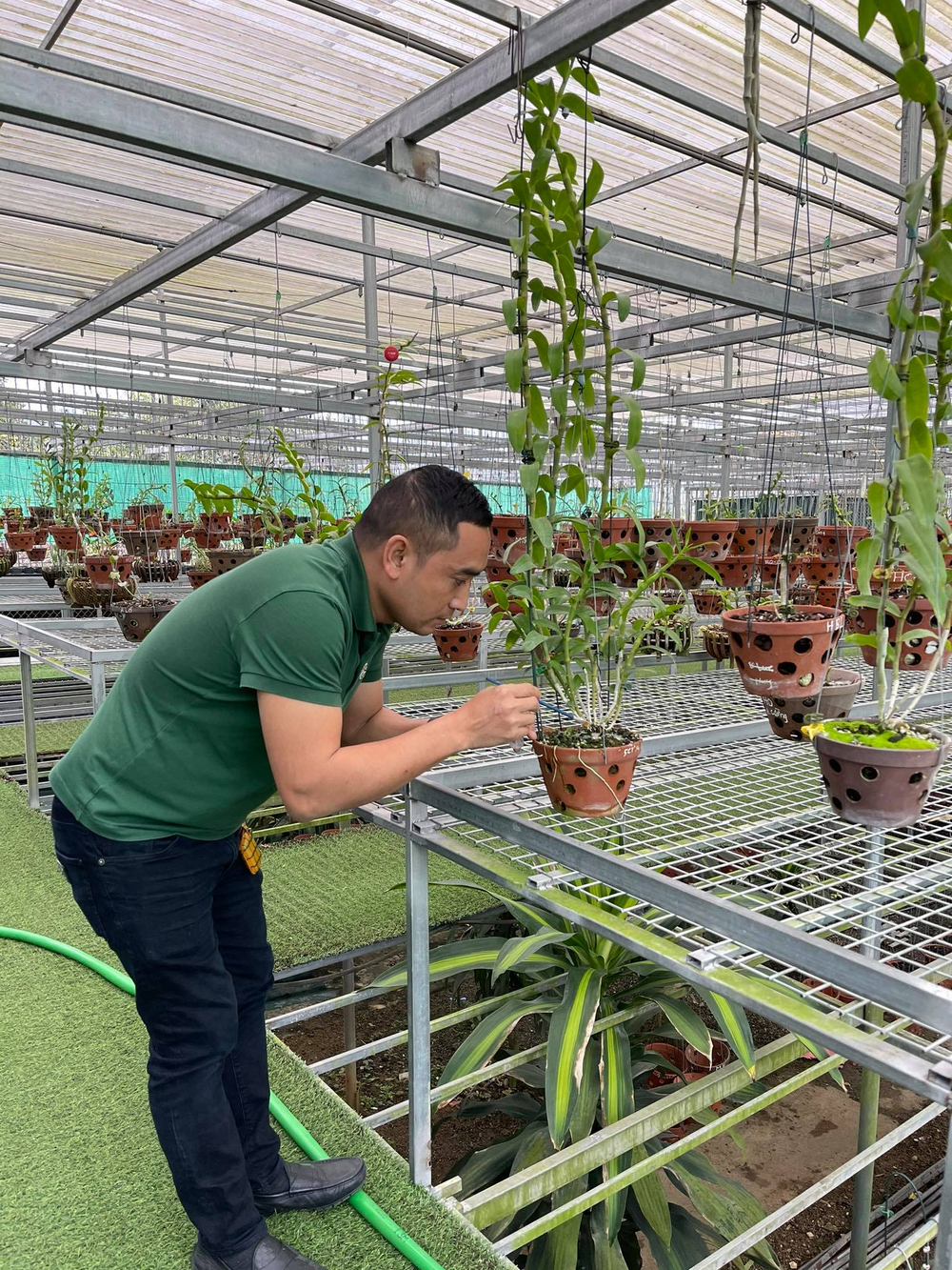 Chặng đường trở thành ông chủ vườn lan nổi tiếng của chàng trai 8X Nguyễn Tiến Huy Ảnh 5