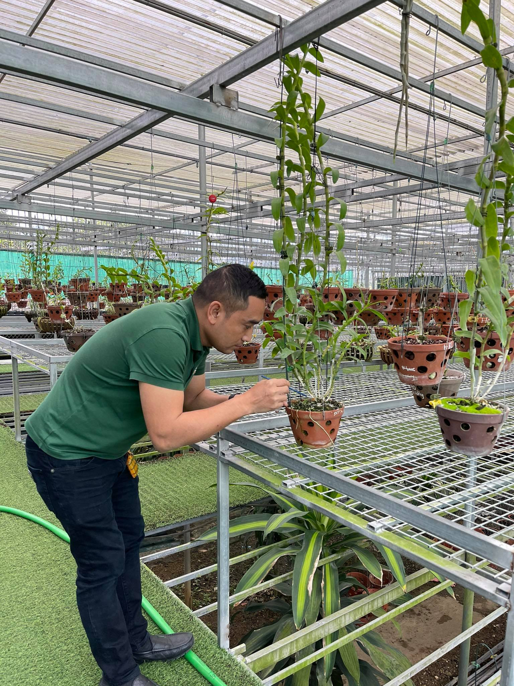 Chặng đường trở thành ông chủ vườn lan nổi tiếng của chàng trai 8X Nguyễn Tiến Huy Ảnh 7