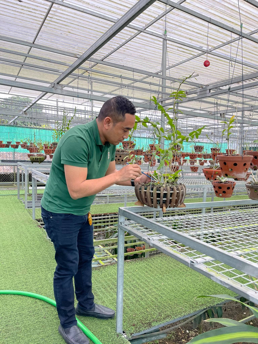 Chặng đường trở thành ông chủ vườn lan nổi tiếng của chàng trai 8X Nguyễn Tiến Huy Ảnh 8