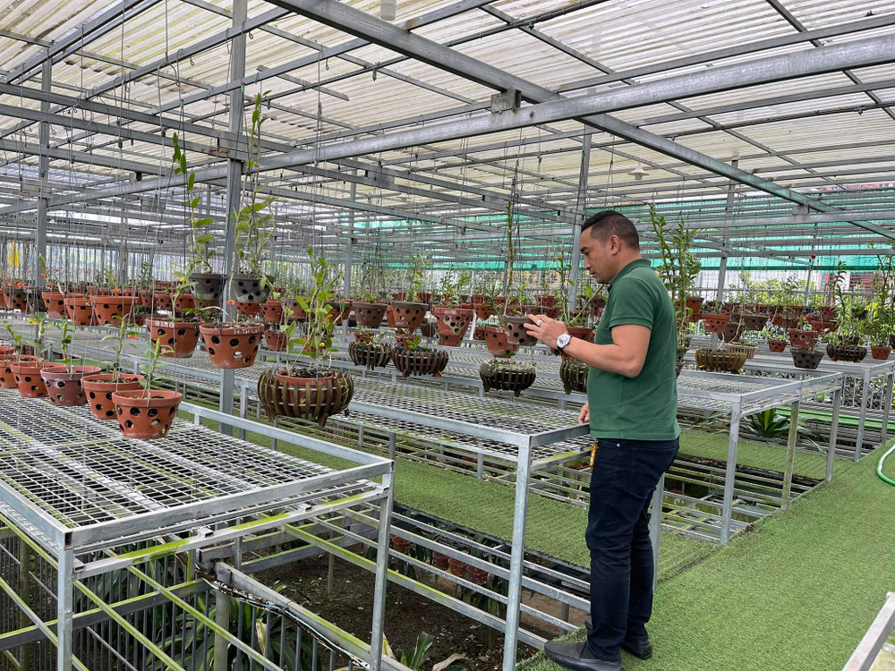 Chặng đường trở thành ông chủ vườn lan nổi tiếng của chàng trai 8X Nguyễn Tiến Huy Ảnh 9