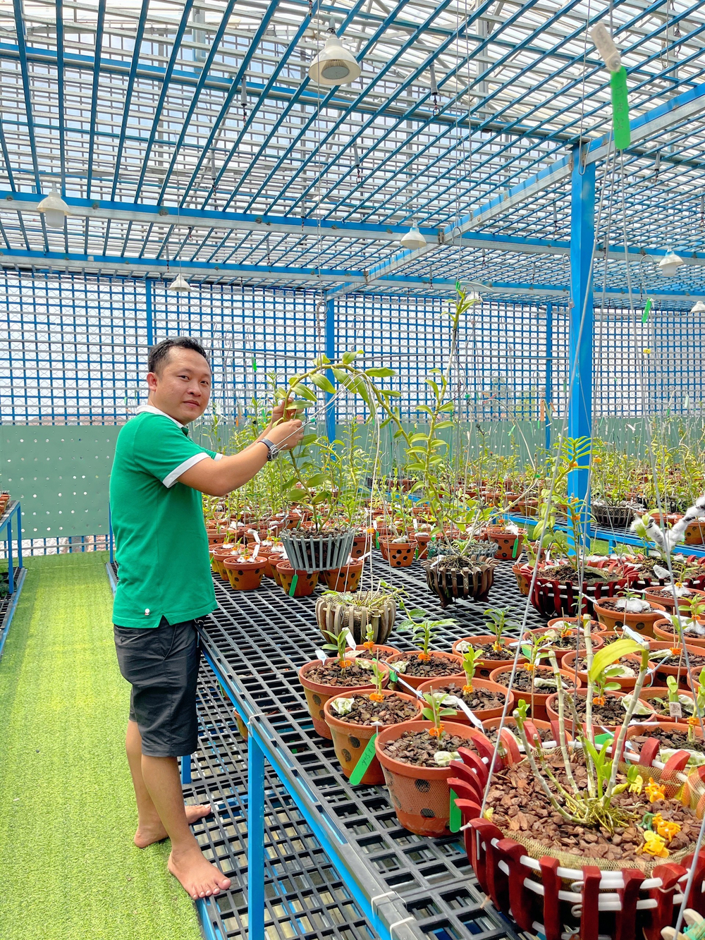 Những 'bí kíp' của nghệ nhân hoa lan Trần Tấn Hiền về xử lý cây lan và giá thể trước khi ghép Ảnh 2