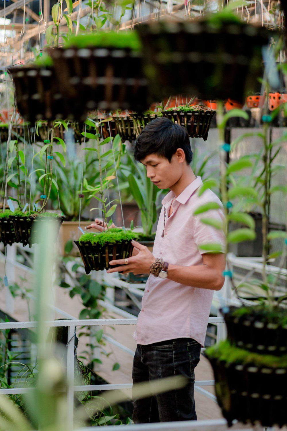 Đi từ nghèo khó, 9X Hạc Hoàng Huy thành công từ trồng hoa lan Ảnh 1