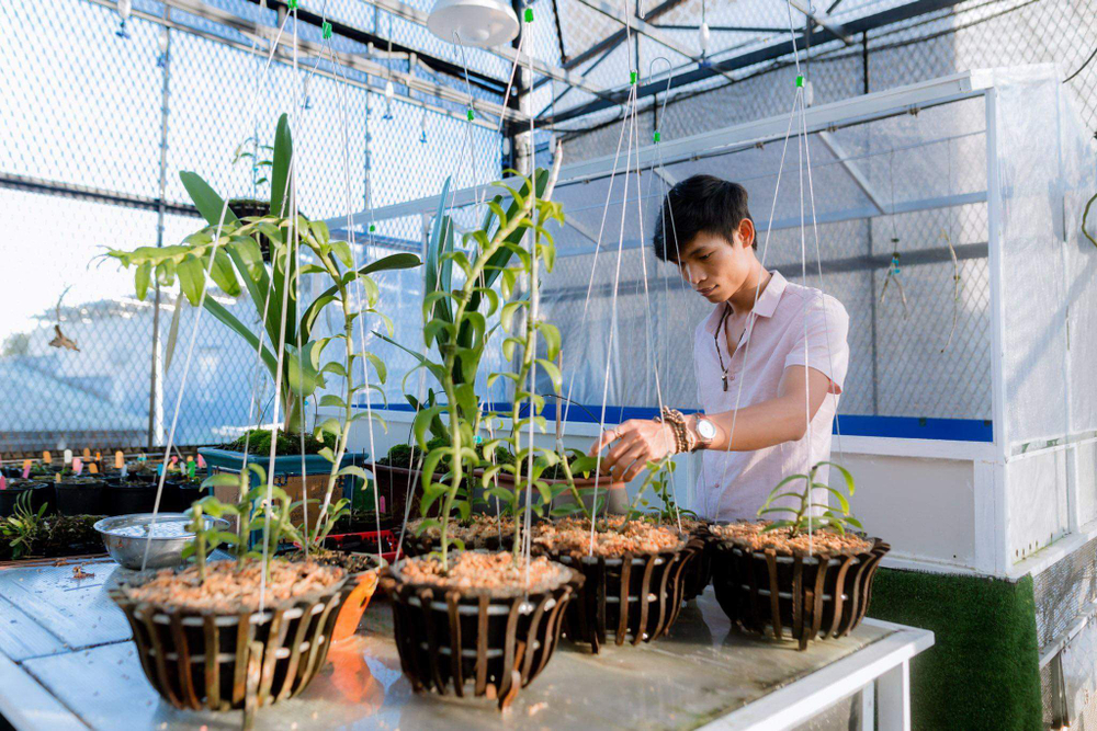 Đi từ nghèo khó, 9X Hạc Hoàng Huy thành công từ trồng hoa lan Ảnh 8