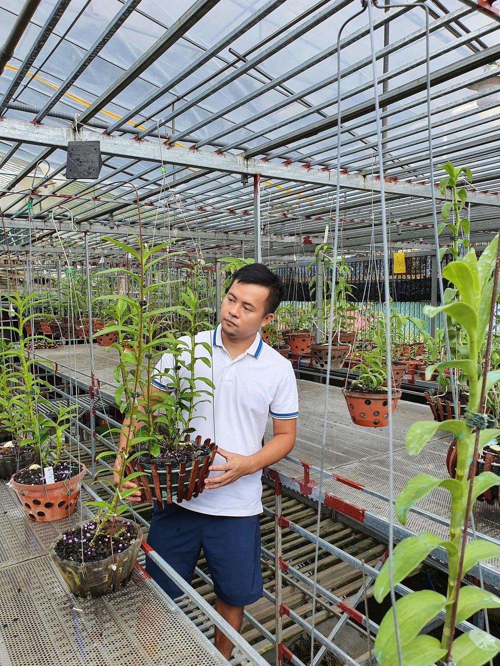 Ông chủ vườn lan Dương Xuân Tú thành công nhờ đam mê từ nhỏ Ảnh 1