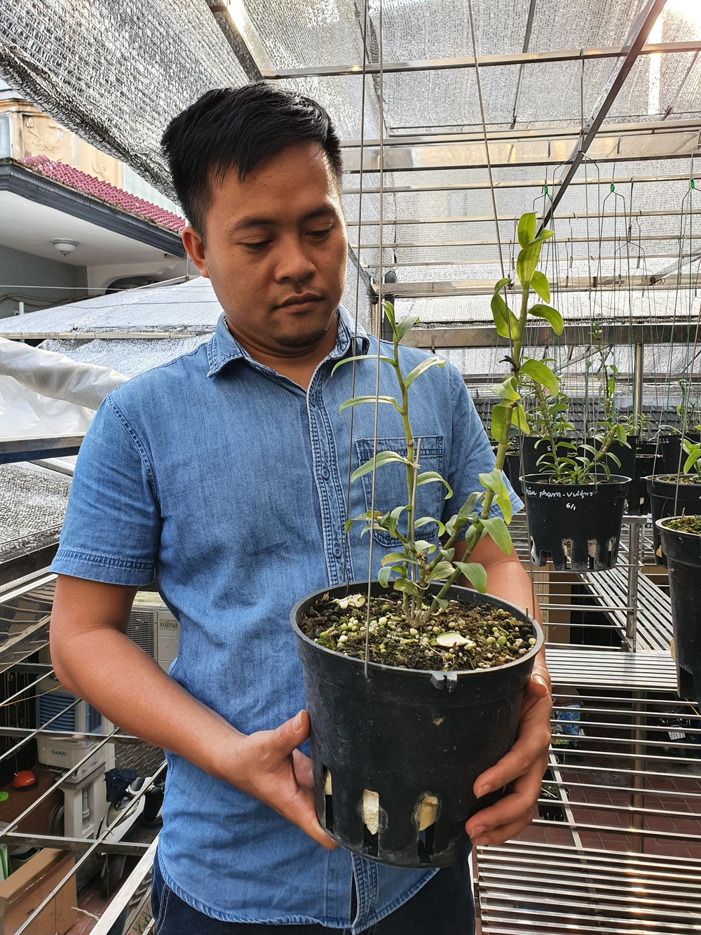 Ông chủ vườn lan Dương Xuân Tú thành công nhờ đam mê từ nhỏ Ảnh 3