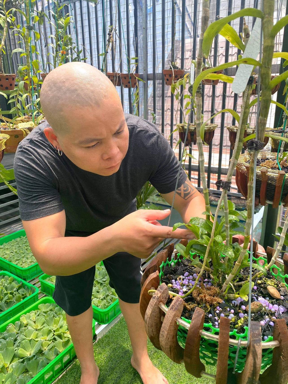 Nghệ nhân Nguyễn Văn Phương: Từ chàng DJ tới ông chủ vườn lan giá trị Ảnh 5