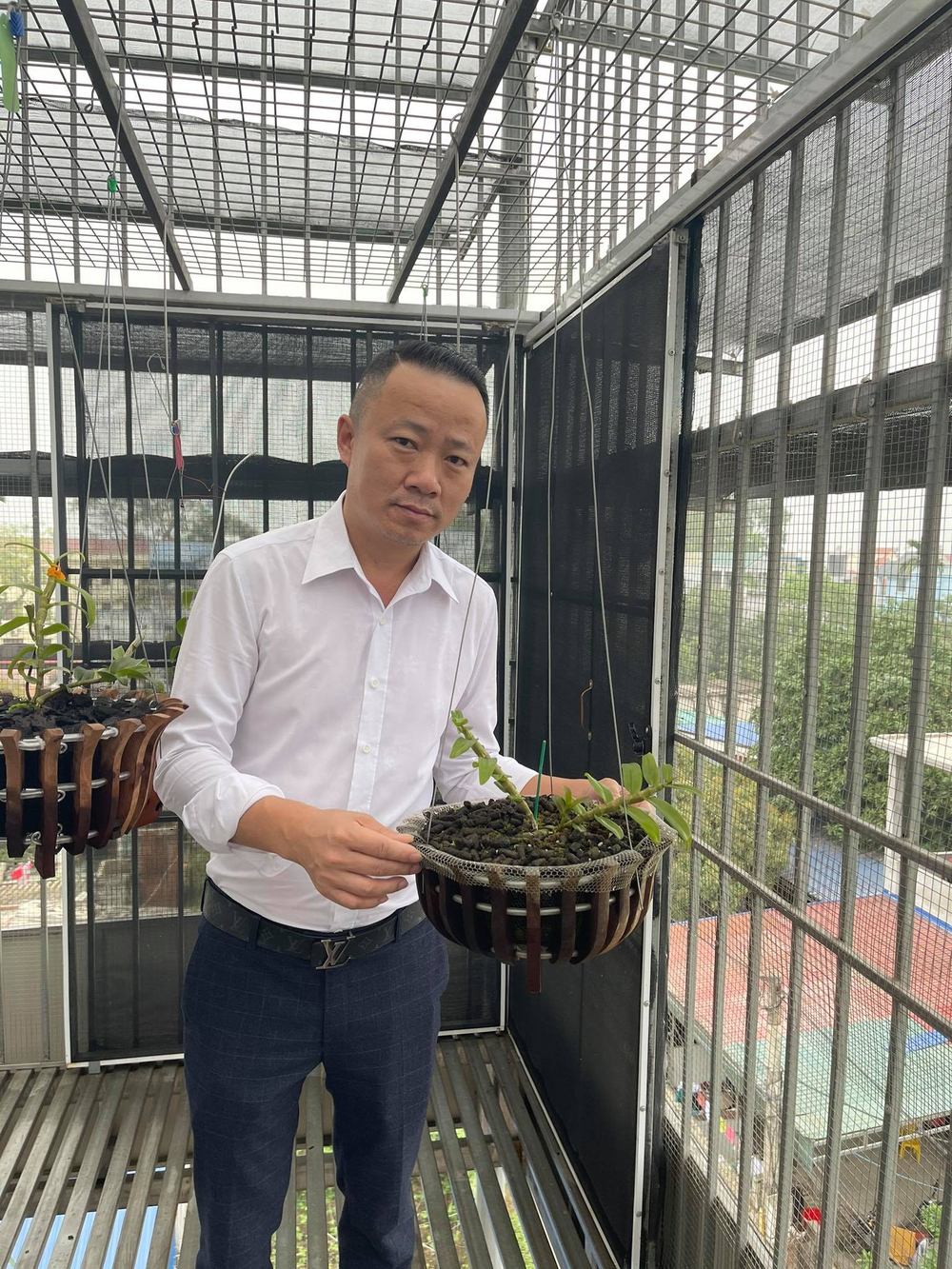 Ông chủ vườn lan Mạnh Quỳnh - Người chơi hoa lan bắt đầu từ sự… thờ ơ Ảnh 8
