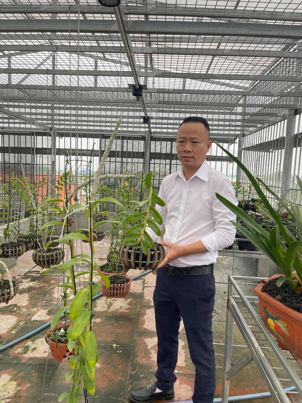 Ông chủ vườn lan Mạnh Quỳnh - Người chơi hoa lan bắt đầu từ sự… thờ ơ Ảnh 2