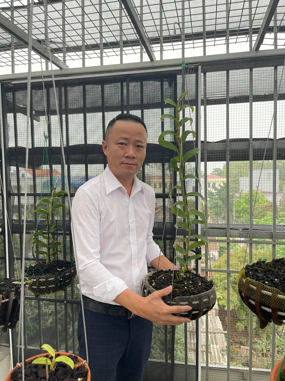 Ông chủ vườn lan Mạnh Quỳnh - Người chơi hoa lan bắt đầu từ sự… thờ ơ Ảnh 5