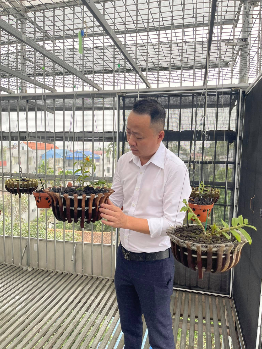 Ông chủ vườn lan Mạnh Quỳnh - Người chơi hoa lan bắt đầu từ sự… thờ ơ Ảnh 6
