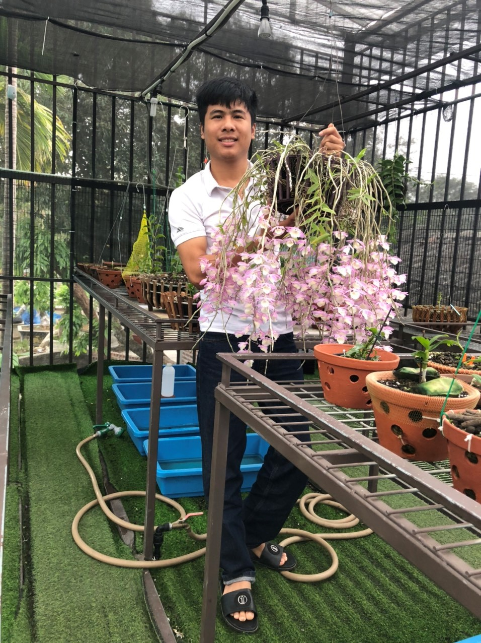 Nghệ nhân trồng lan Tạ Văn Hiệp: Cây lan lớn lên chỉ bằng tình yêu thực sự Ảnh 1