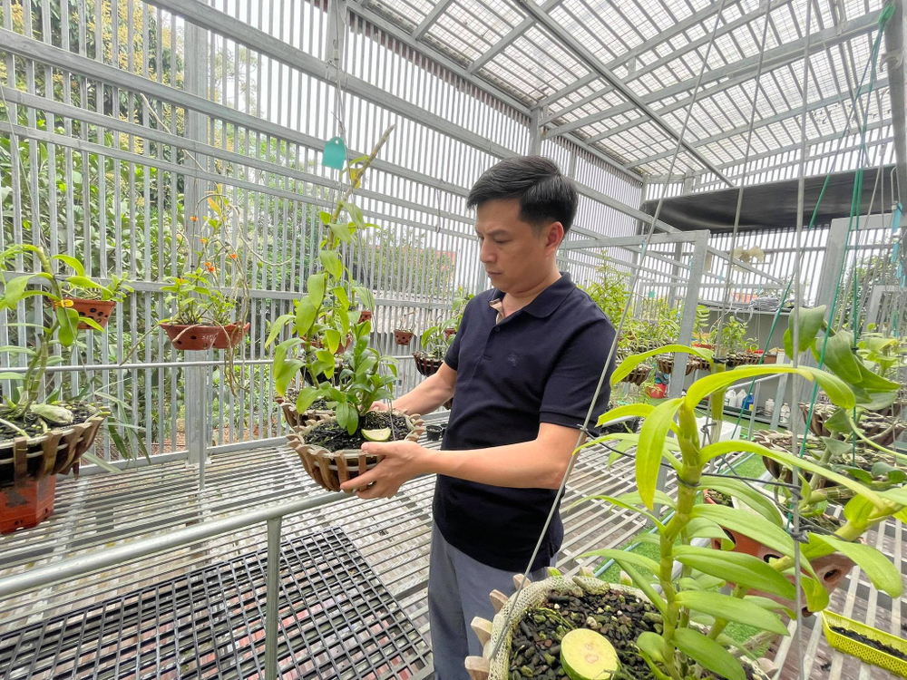 Ông chủ Ninh Nguyễn và câu chuyện của người sành lan đất Phú Thọ Ảnh 5