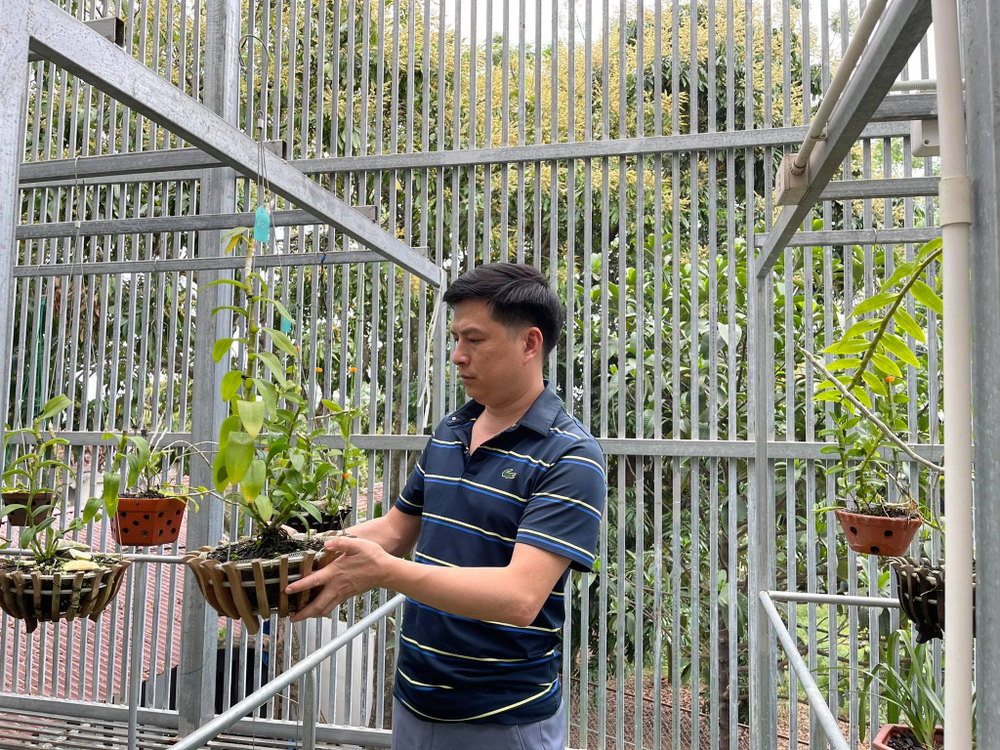 Ông chủ Ninh Nguyễn và câu chuyện của người sành lan đất Phú Thọ Ảnh 7