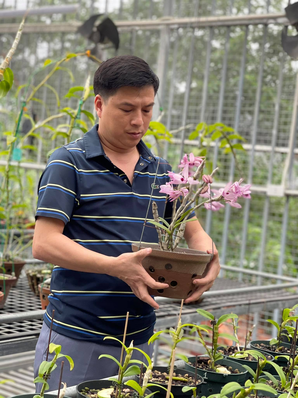 Ông chủ Ninh Nguyễn và câu chuyện của người sành lan đất Phú Thọ Ảnh 8