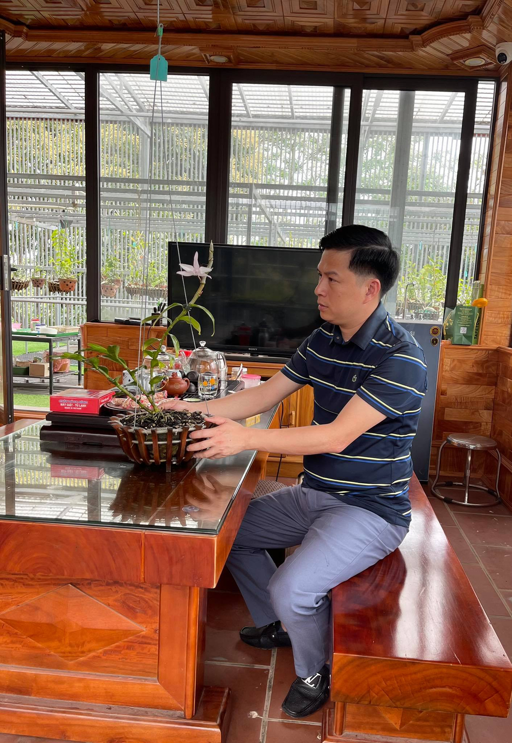 Ông chủ Ninh Nguyễn và câu chuyện của người sành lan đất Phú Thọ Ảnh 4