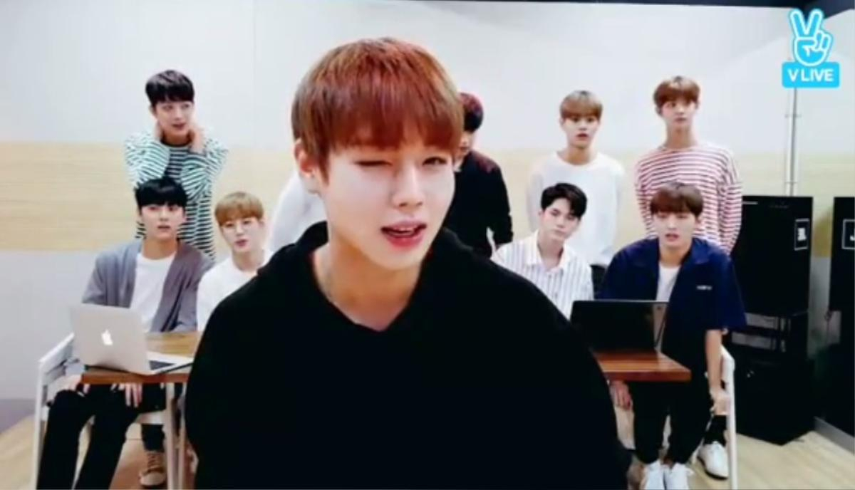 Wanna One có nhất thiết phải hot thế này không? Ảnh 4