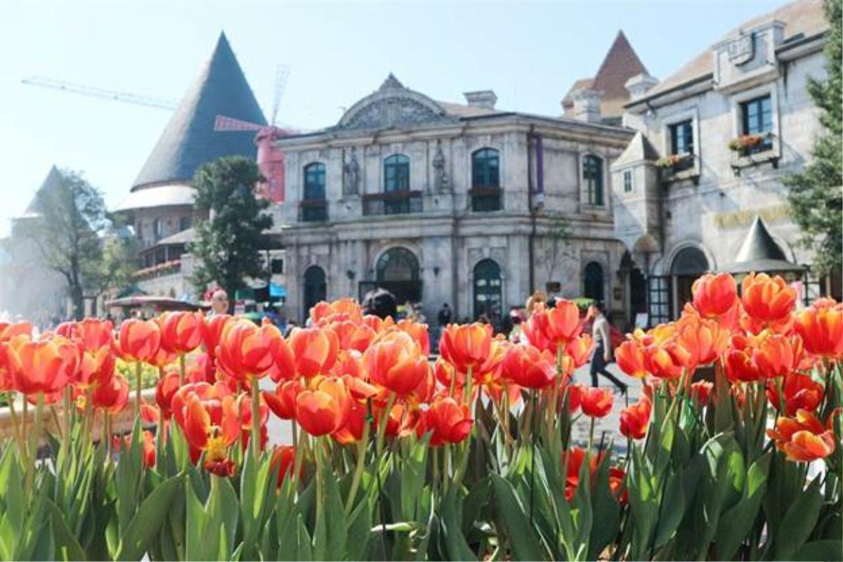 Đến Sun World Ba Na Hills nghe hoa kể chuyện Ảnh 7