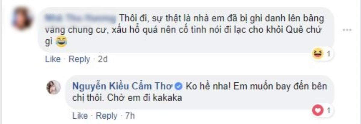 Sao Việt và cộng đồng mạng xếp hàng đặt dịch vụ thám tử Hoài Linh Ảnh 5