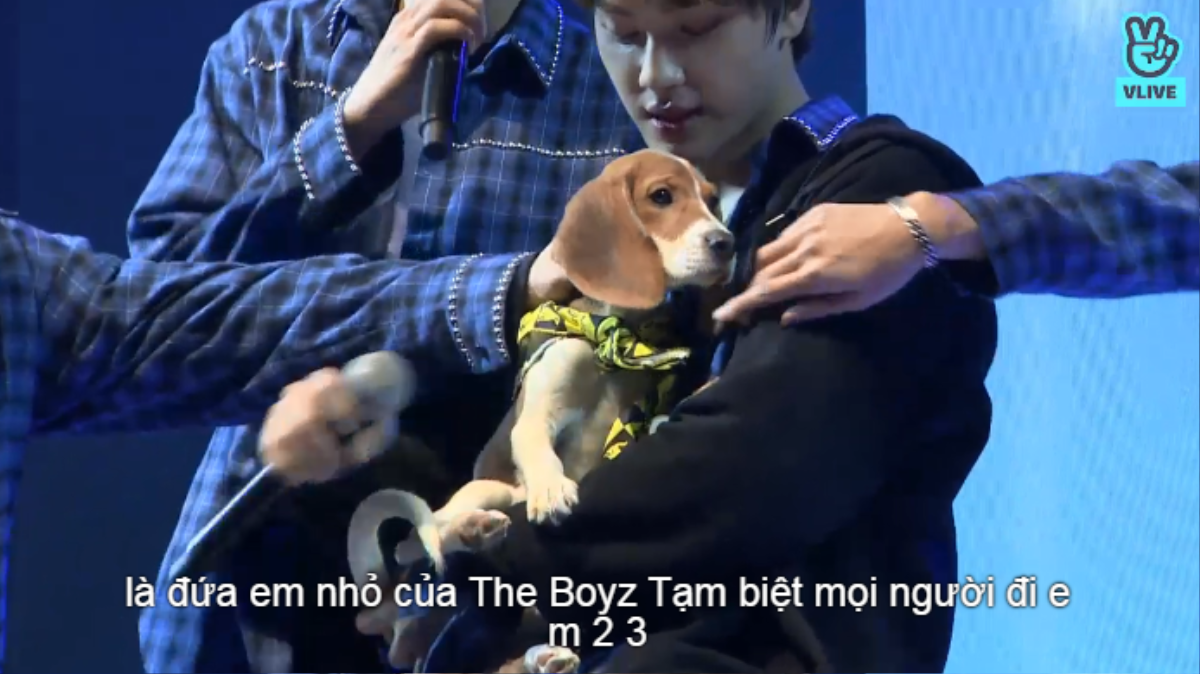 Khi The Boyz lần đầu tiết lộ rằng vô cùng sợ chó nhưng lại ‘mạnh tay’ nuôi thêm 2 em cún con Ảnh 7