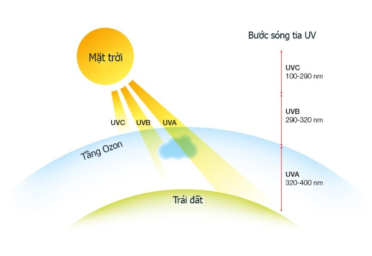 Sữa rửa mặt chăm sóc da- trào lưu mới đón tết 2020 Ảnh 3