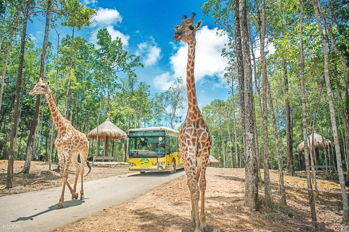 Dân mê xê dịch phát sốt với bãi biển đẹp như Maldives, tưởng đâu xa hóa ra siêu gần, siêu thuận tiện  Ảnh 4