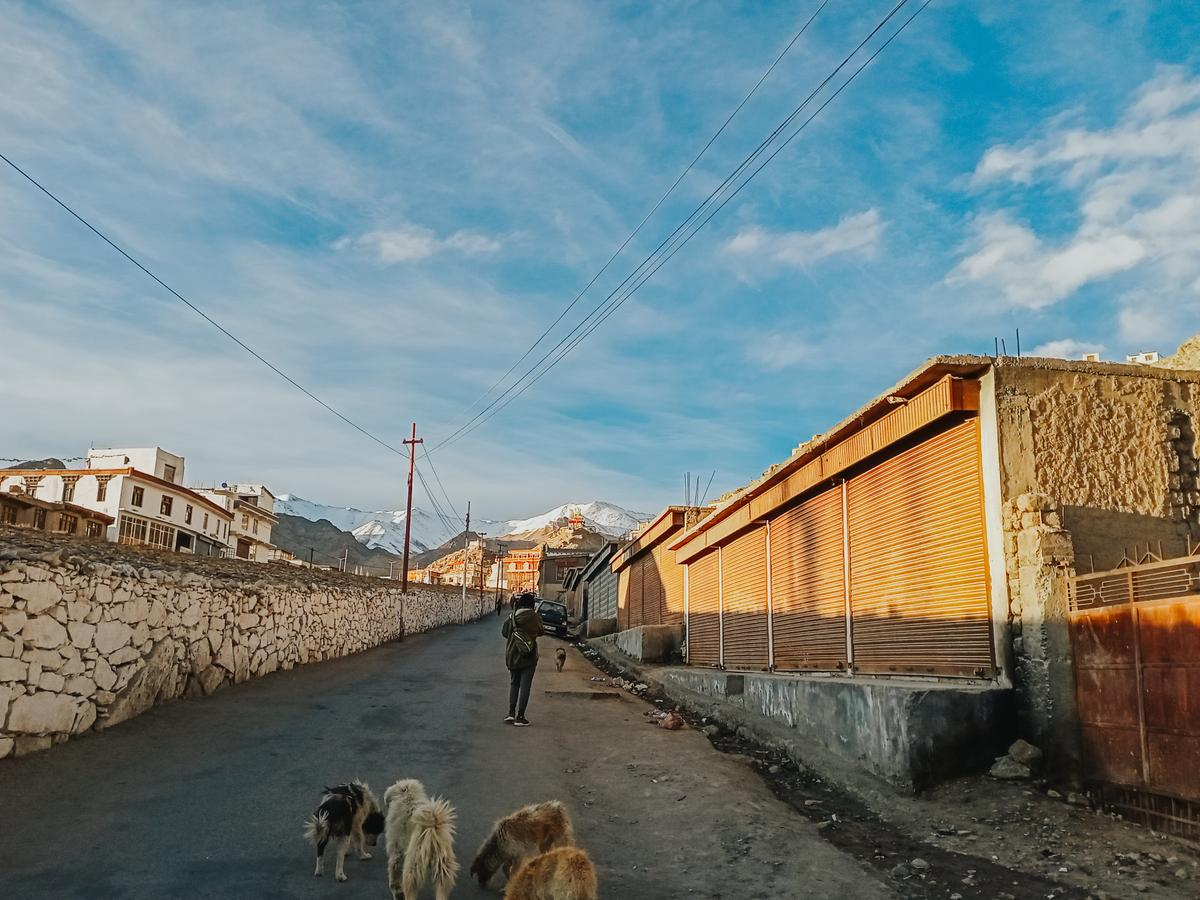 Những trải nghiệm không dành cho những người thích an nhàn tại Ladakh - 'Tiểu Tây Tạng' của Ấn Độ Ảnh 10