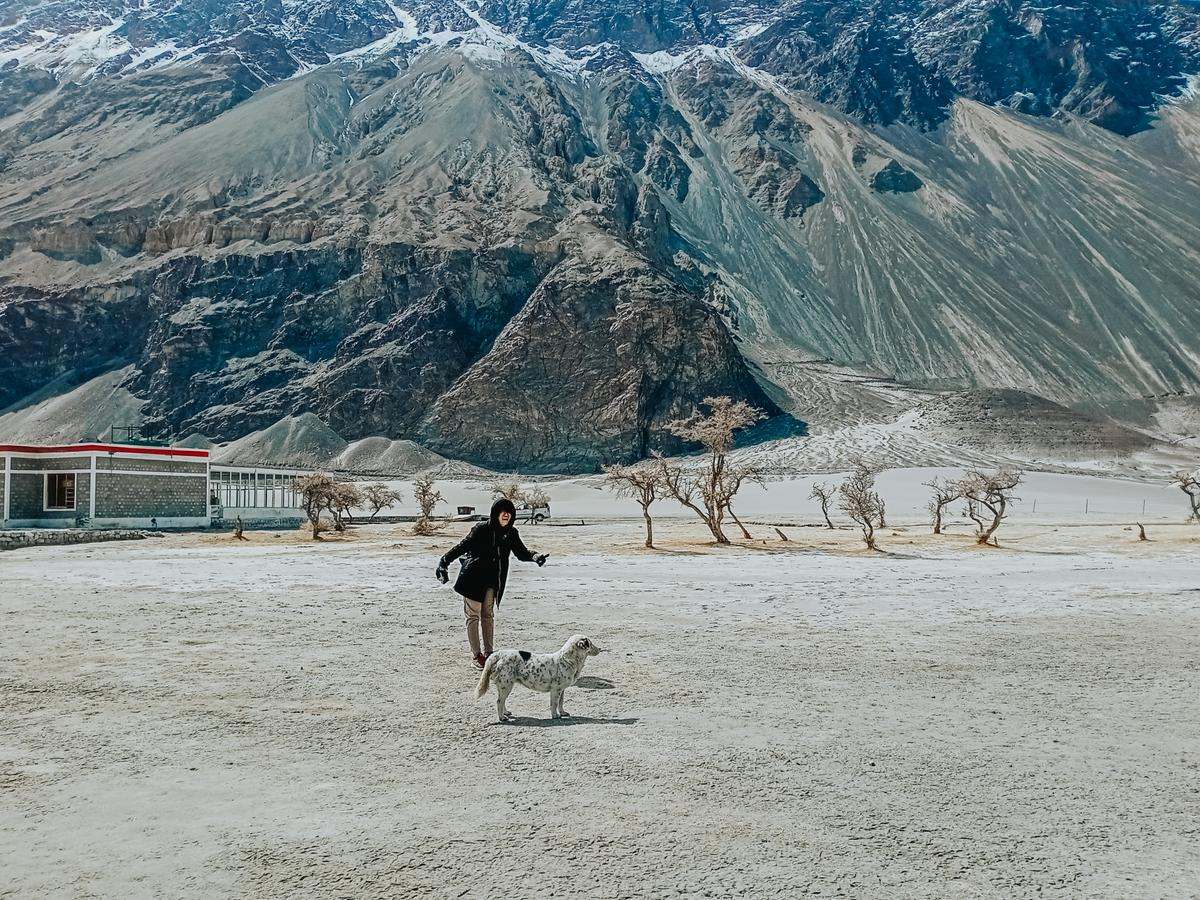 Những trải nghiệm không dành cho những người thích an nhàn tại Ladakh - 'Tiểu Tây Tạng' của Ấn Độ Ảnh 27