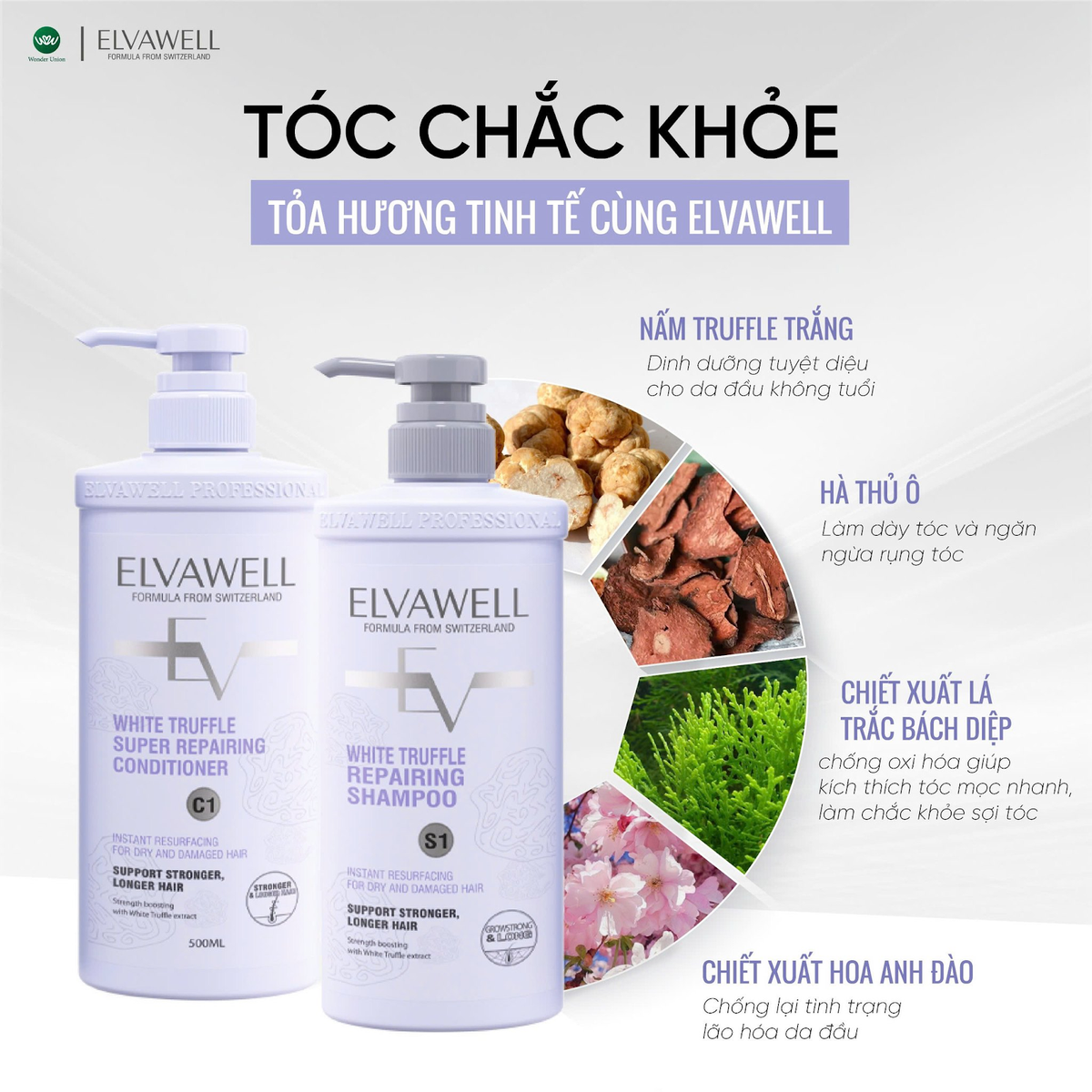 Dầu gội Elvawell chiết xuất nấm truffle: Sự kết hợp hoàn hảo giữa công nghệ Thụy Sĩ và thành phần tự nhiê Ảnh 5