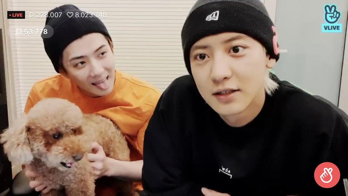 Chanyeol và Sehun (EXO) bị giám đốc SM Entertainment trách mắng vì tự ý tung nhạc mới mà không xin phép? Ảnh 1