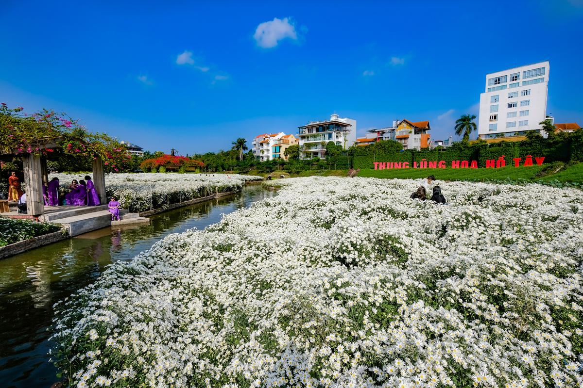 Thung Lũng hoa Hồ Tây nơi trải nghiệm ngàn hoa cho phái đẹp tại Hà Nội Ảnh 1