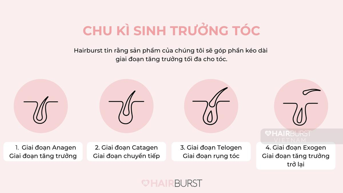 Hairburst Việt Nam và sứ mệnh chăm sóc mái tóc Việt Ảnh 3