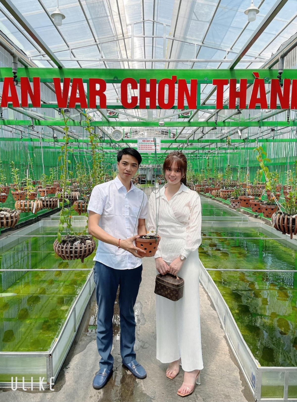 Nghệ nhân Phạm Hải Yến và bí quyết chơi lan thành công Ảnh 2