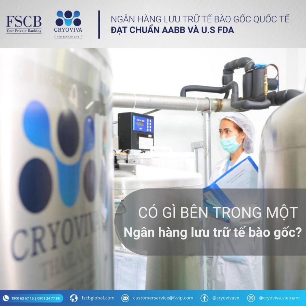 Vì sao FSCB Cryoviva Vietnam luôn là lựa chọn hàng đầu của sao việt trong lưu trữ tế bào gốc cho bé? Ảnh 1