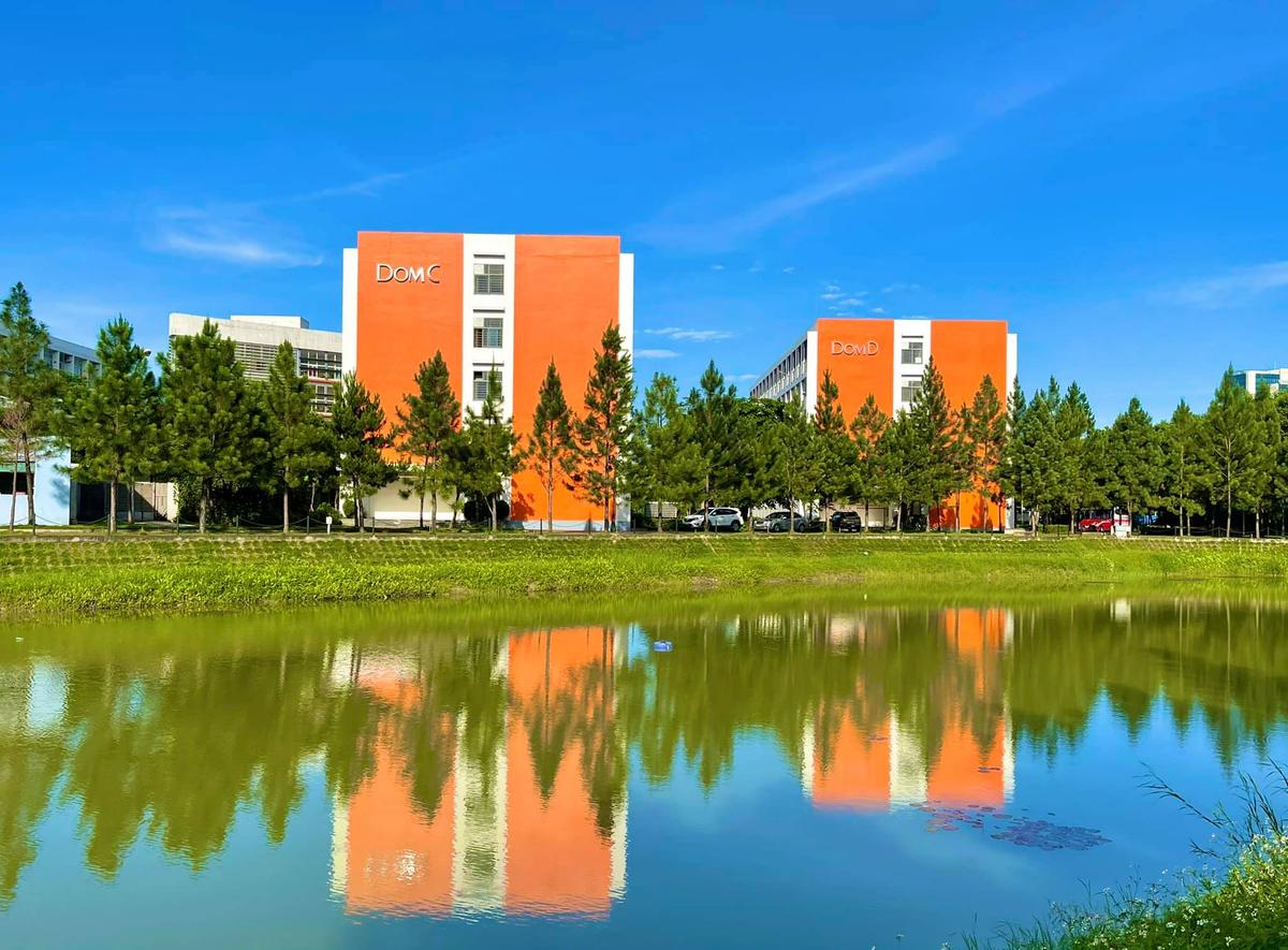 Trải nghiệm campus đi mỏi chân không hết, giảng đường nhìn ra hồ sen, KTX nằm giữa đồi thông lãng mạn của SV ĐH FPT Ảnh 6