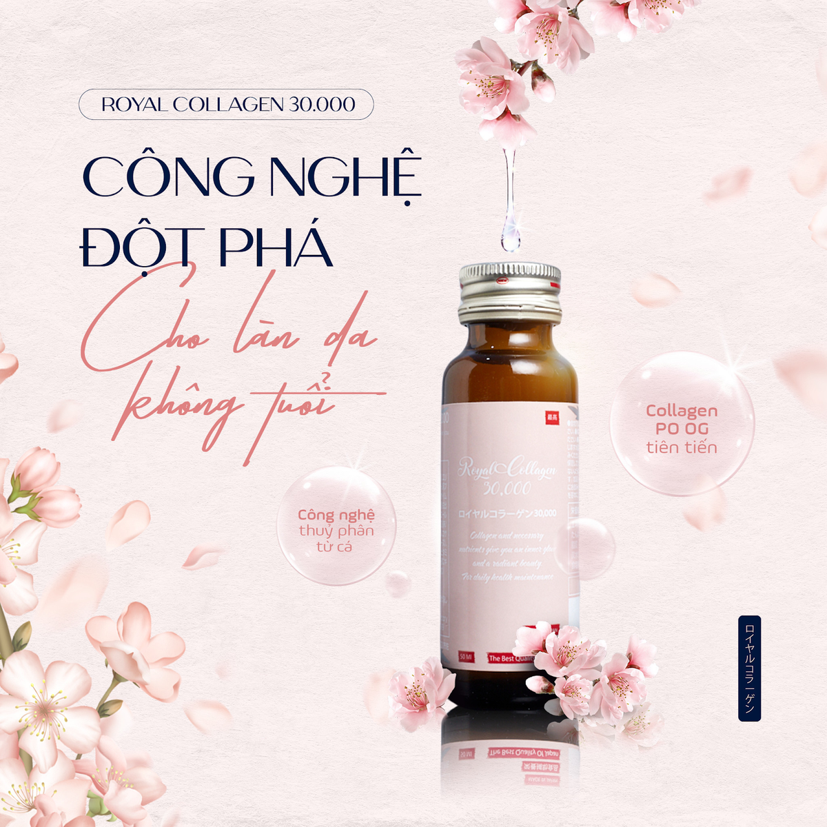 Công nghệ collagen vượt trội của Royal collagen 30.000 giúp cải thiện nội tiết tố phái đẹp Ảnh 2