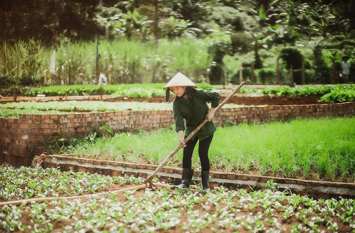 Dương Lê Tuyết Nhung - tự hào là con nhà nông với tình yêu dành cho sản phẩm trong lành Ảnh 2