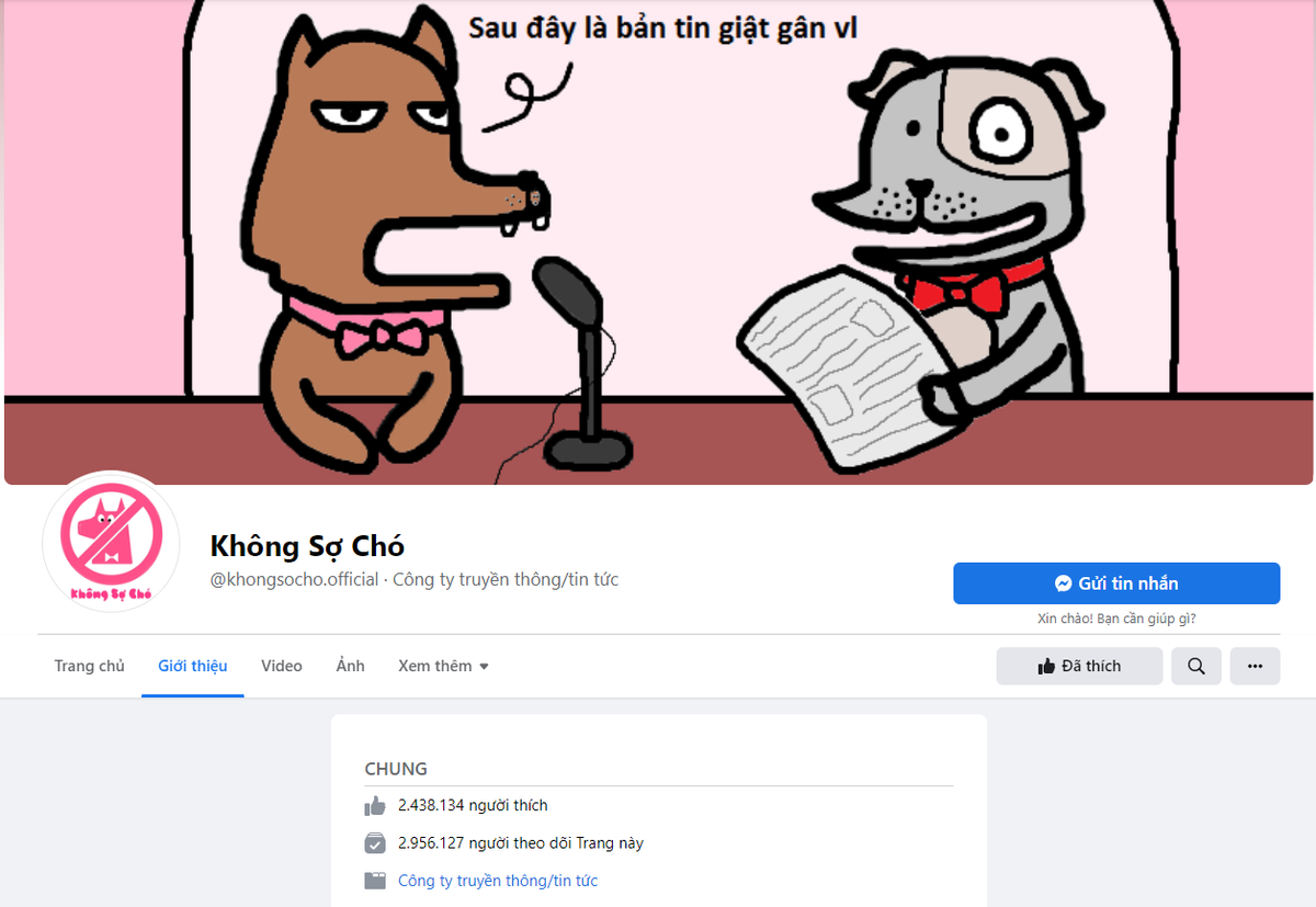 Người trẻ tìm thấy gì ở fanpage triệu like 'Không Sợ Chó' Ảnh 5