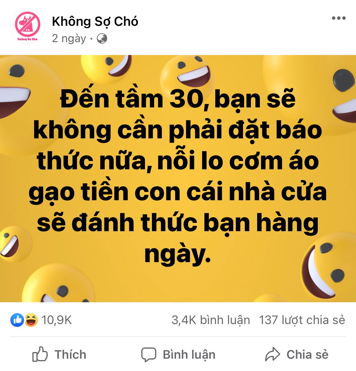 Người trẻ tìm thấy gì ở fanpage triệu like 'Không Sợ Chó' Ảnh 4