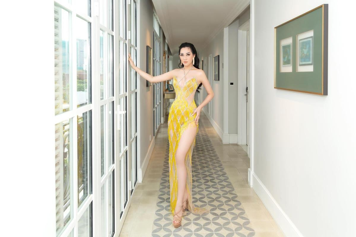 Hoa hậu Huỳnh Thúy Anh hội ngộ Miss Intercontinental 2014 sau 8 năm Ảnh 3