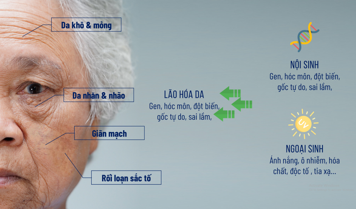 'Đánh thức thanh xuân' – sự kiện nổi bật của ngành thẩm mỹ năm 2022 Ảnh 2