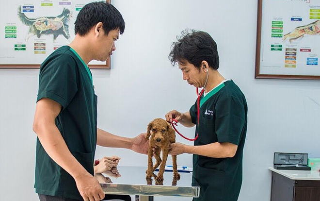 Nuôi thú cưng dần trở thành xu hướng ưa chuộng của nhiều người trẻ Ảnh 2